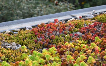 the cost of Giggetty green roof installation