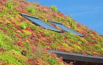 Giggetty living roof systems