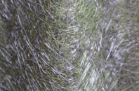 Giggetty fibreglass roof work